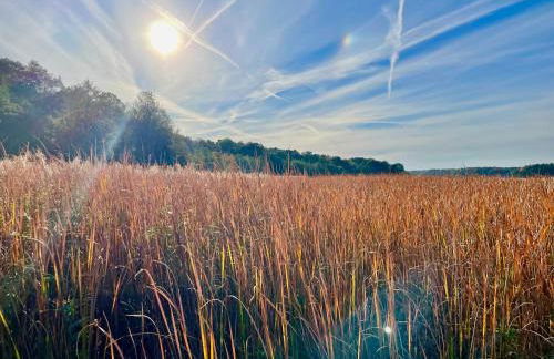 Seepark Wolfswinkel - Foto 63