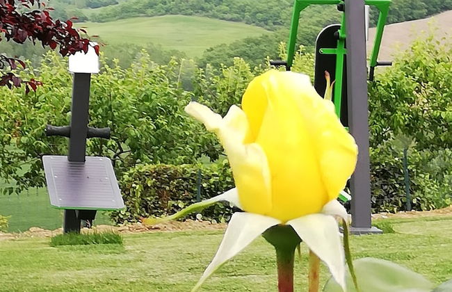 San Lorenzo Agriturismo - Foto 53