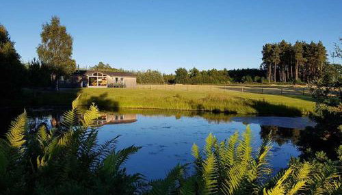 Fern Lodge - Luxury Lodge with steamroom in Perthshire - Foto 2