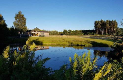 Fern Lodge - Luxury Lodge with steamroom in Perthshire - Photo 2
