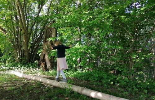 5Sterne Ferienwohnung im Fachwerk mit Bergblick in Alleinlage und großem Garten, Infrarotkabine - Foto 40