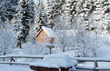 Ferienwohnungen Bleyl Rittersgrün - Foto 17