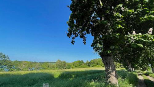 Ferienhaus "Am Flachsee" - Foto 3