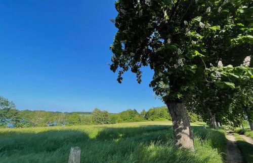 Ferienhaus "Am Flachsee" - Foto 3