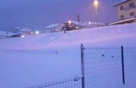 Colori nel parco - Foto 23