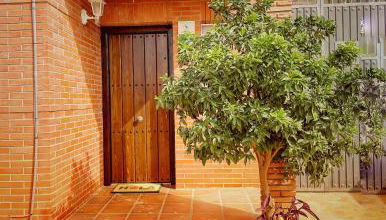 Villa EMMA - Photo 3