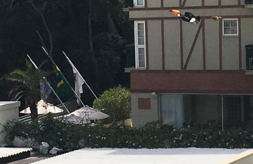 Granja Brasil - Foto 25