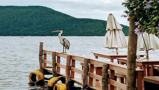 Côte Lagune avec Maritime - Photo 2