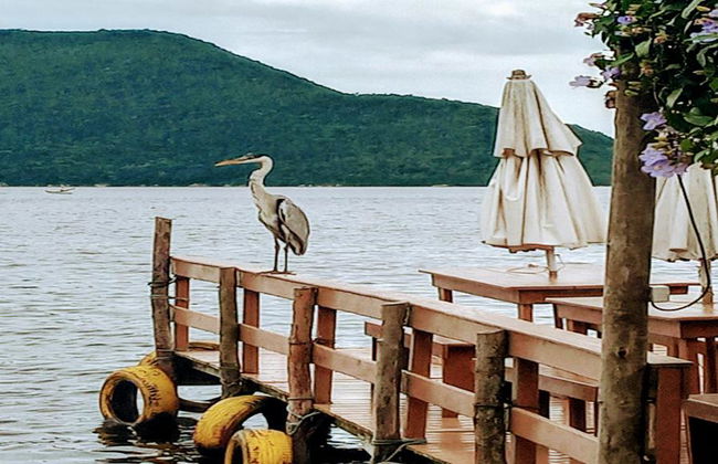 Lagoon Coast with Maritime - Photo 2