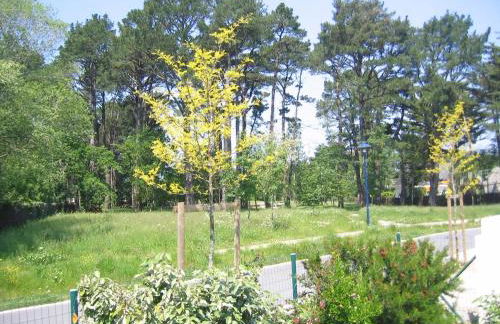 Maison familiale à 150m de la plage de Quimiac - Foto 12