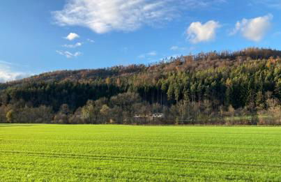 PEARLs - Stilvolle Wohnung zwischen dem Schwarzwald & der Schweiz - Foto 27