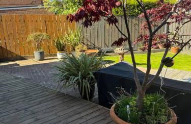 The pastures - Foto 17