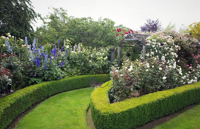 Marchmont Gardens - Photo 30