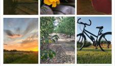 Agroturystyka Zdrowo przez sad - Foto 3