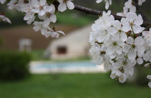 Gîtes Grand Pré ! et la Roulotte de Roquecor - Photo 33