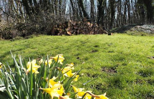 Olafs Cottage - Foto 16