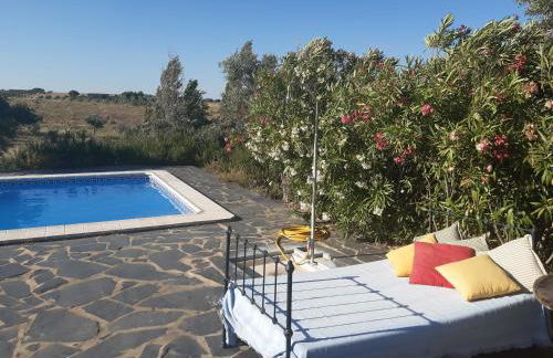 Horta do Muro - Foto 2