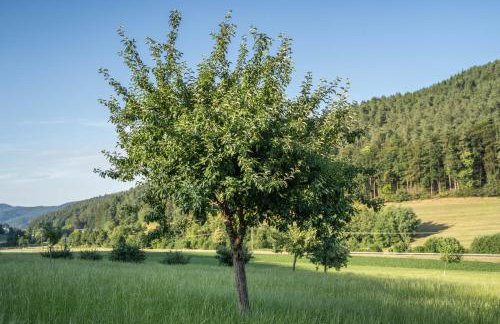 Ferienwohnung Ohnemus - Photo 27