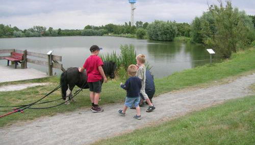 Ferienhaus Marianne Tossens - Foto 2