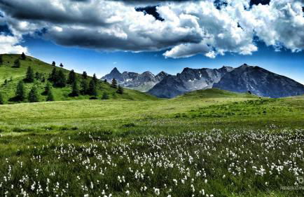 Chalet Tir Longë - Foto 48