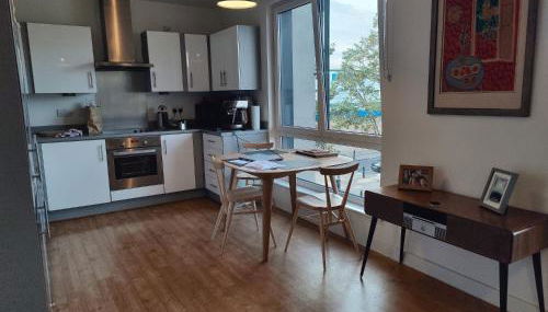 Homely Spacious 3 bedrooms duplex with roof-top next to Victoria Park & regent's canal in vibrant East End London - Foto 2