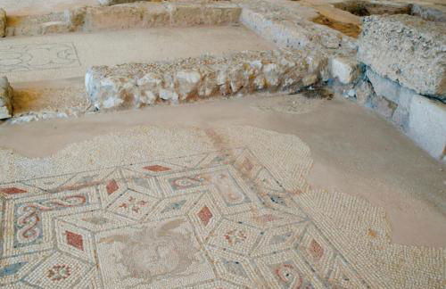 Perla delle Egadi - Foto 29