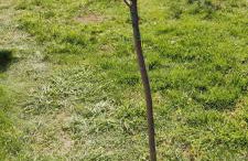 Maison Lido Silvana - Photo 80