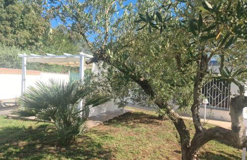 Le Dune di Circe - Foto 15