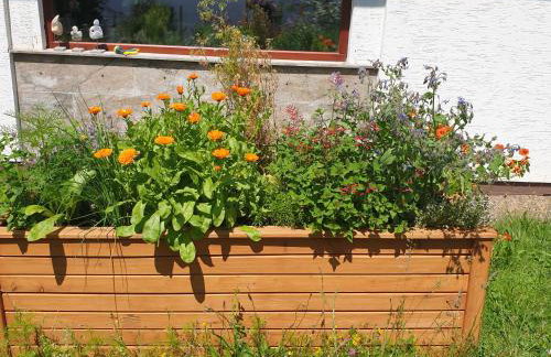 Exklusive Ferienwohnung Bad Salzschlirf - direkt am Waldrand - großer Garten kompett umzäunt - Hunde willkommen - 2 private Stellplätze - Foto 41