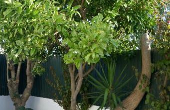 Villa a Sul - Foto 31