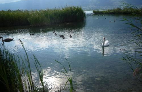 7 Boulevard des Côtes - Foto 14