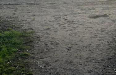 Killyfole lakeside lodges - Foto 64