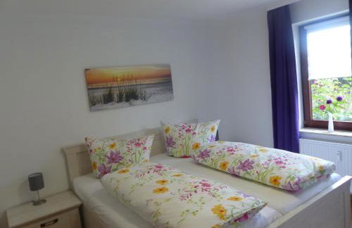 Midlum Zaunkönig - Foto 30