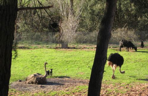 Casa Rural Los Nogales - Foto 30