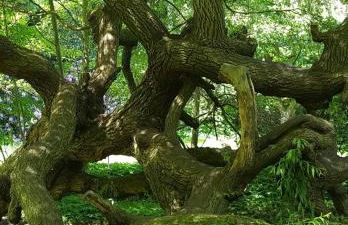 Die Malche Gäste und Tagungshaus 27 - Foto 6