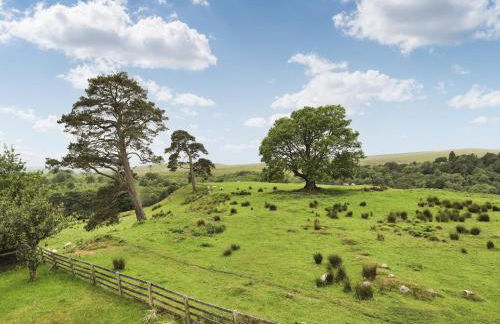 Stargazers - Uk3445 - Foto 15