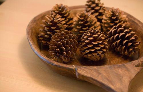 Garni Karin - Foto 14