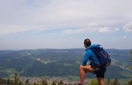 ElzLand Hotel 9 Linden "Ferienwohnung" - Foto 14