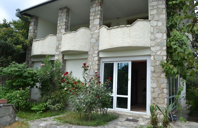 Royal Telavi - Foto 1