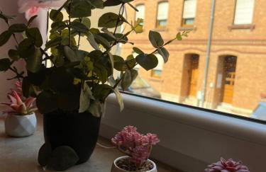 Erholung im Herzen von Mühlhausen - Foto 1