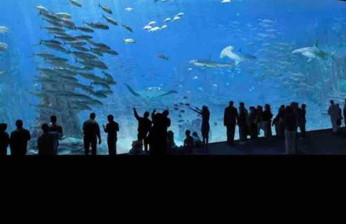 NEW PROCHE NAUSICAA ! « Mille et Un Rêve » - Photo 45