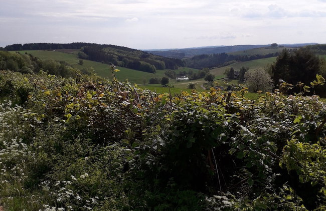 Cosy Apartment in Neustrassburg - Foto 30