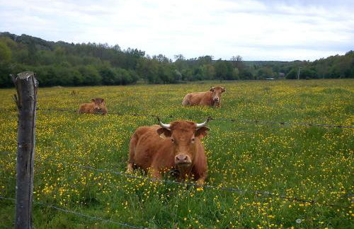 Moulin des sablons vakantiehuis gite - Foto 6