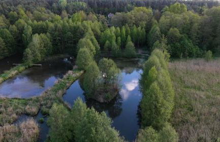 Stacja Natura - Foto 20