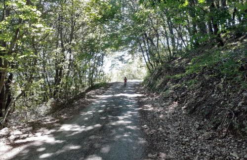 Porta del Colle - Foto 32