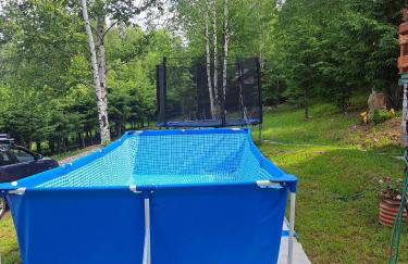 Świerkowy Zakątek u Bacy - Foto 4