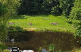 Chez Patoue Gîte et Chambre d'hôtes - Photo 38