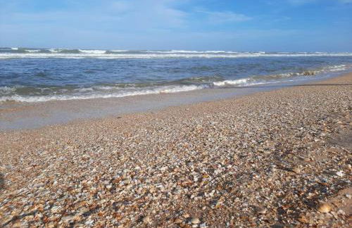 Retreat at Hammock Dunes Beach, Palm Coast - Foto 45