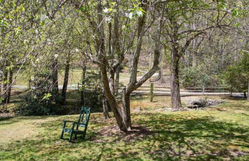 Happy Apple - Foto 34