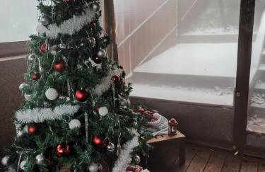 Apartment Viksa with Jacuzzi - Foto 100